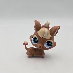 Littlest Pet Shop #2520 Yorkie Backstage Talent Studio LPS Small Marks Back Pics